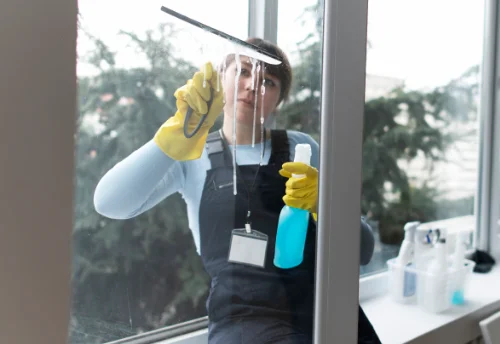 Nettoyage de vitres intérieures et extérieures à Camlez
